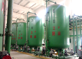 陽陰離子交換器